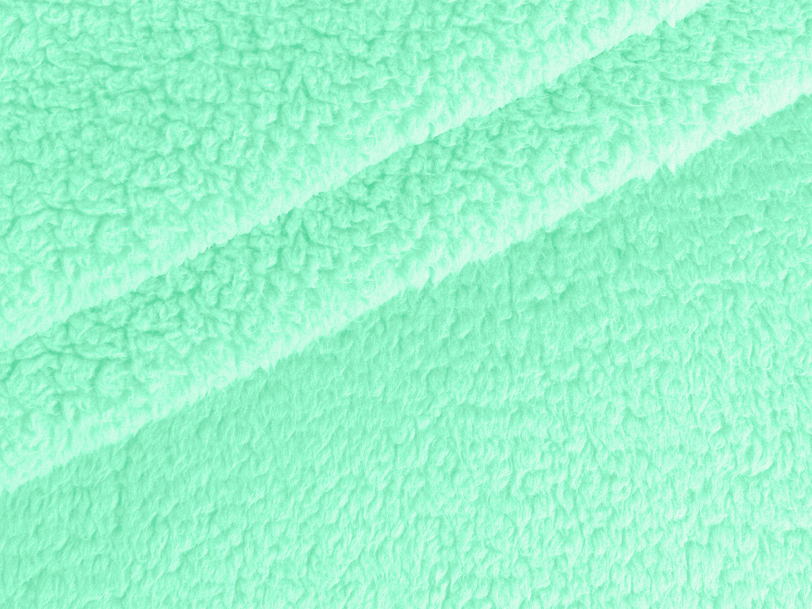 M11PL009300020