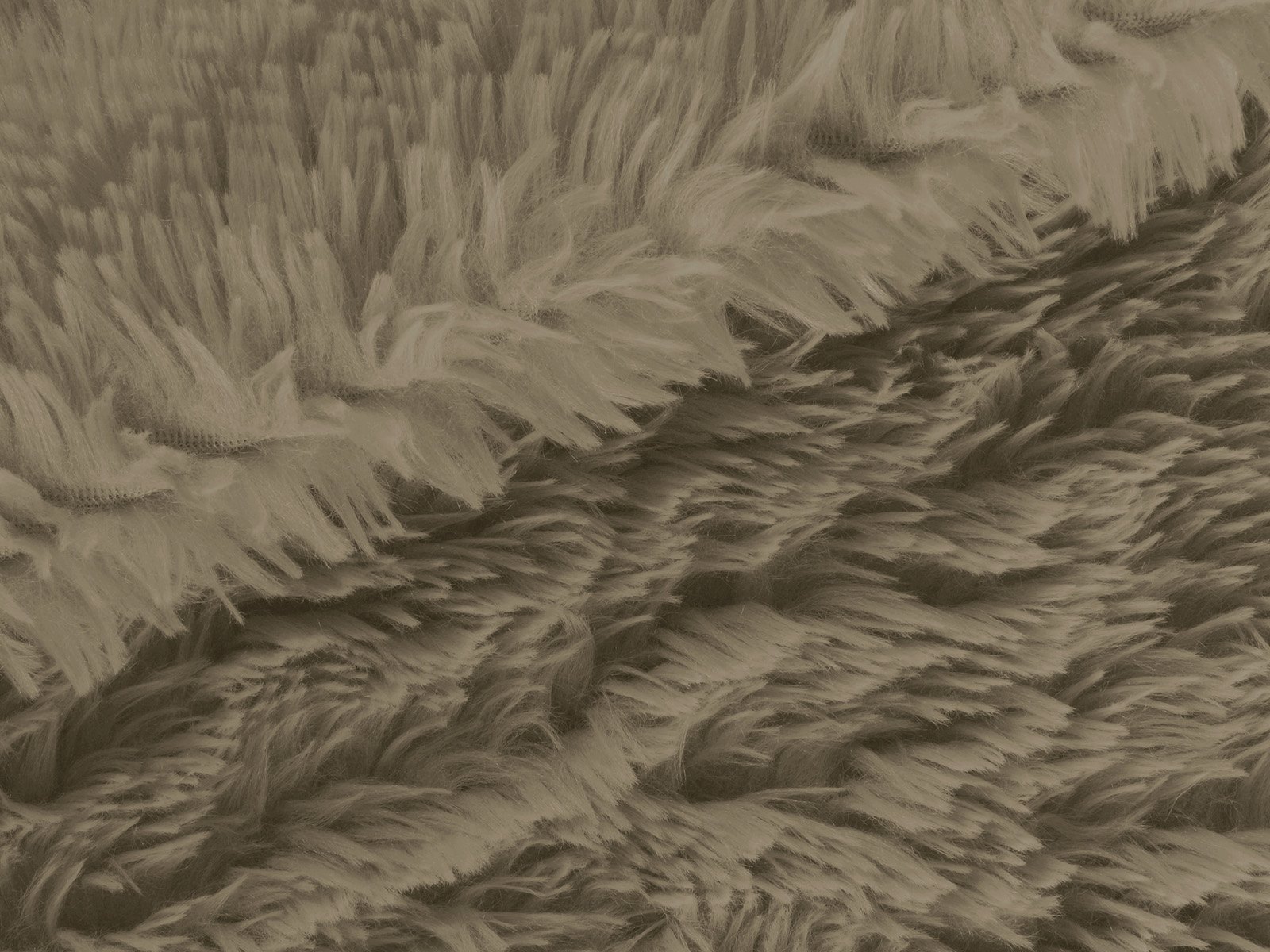 M11PL009800001