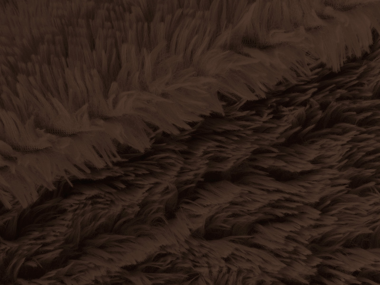 M11PL009800002