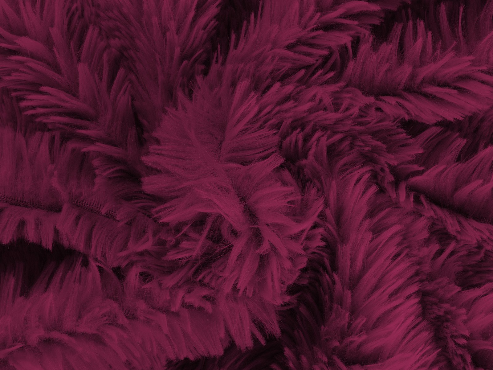 M11PL009800003