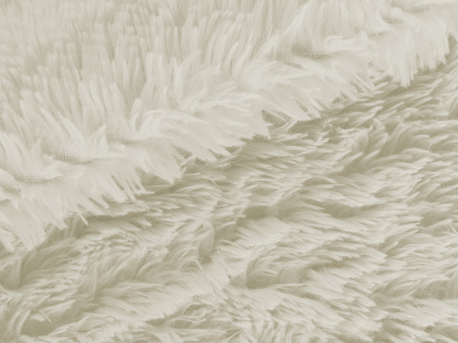 M11PL009800004