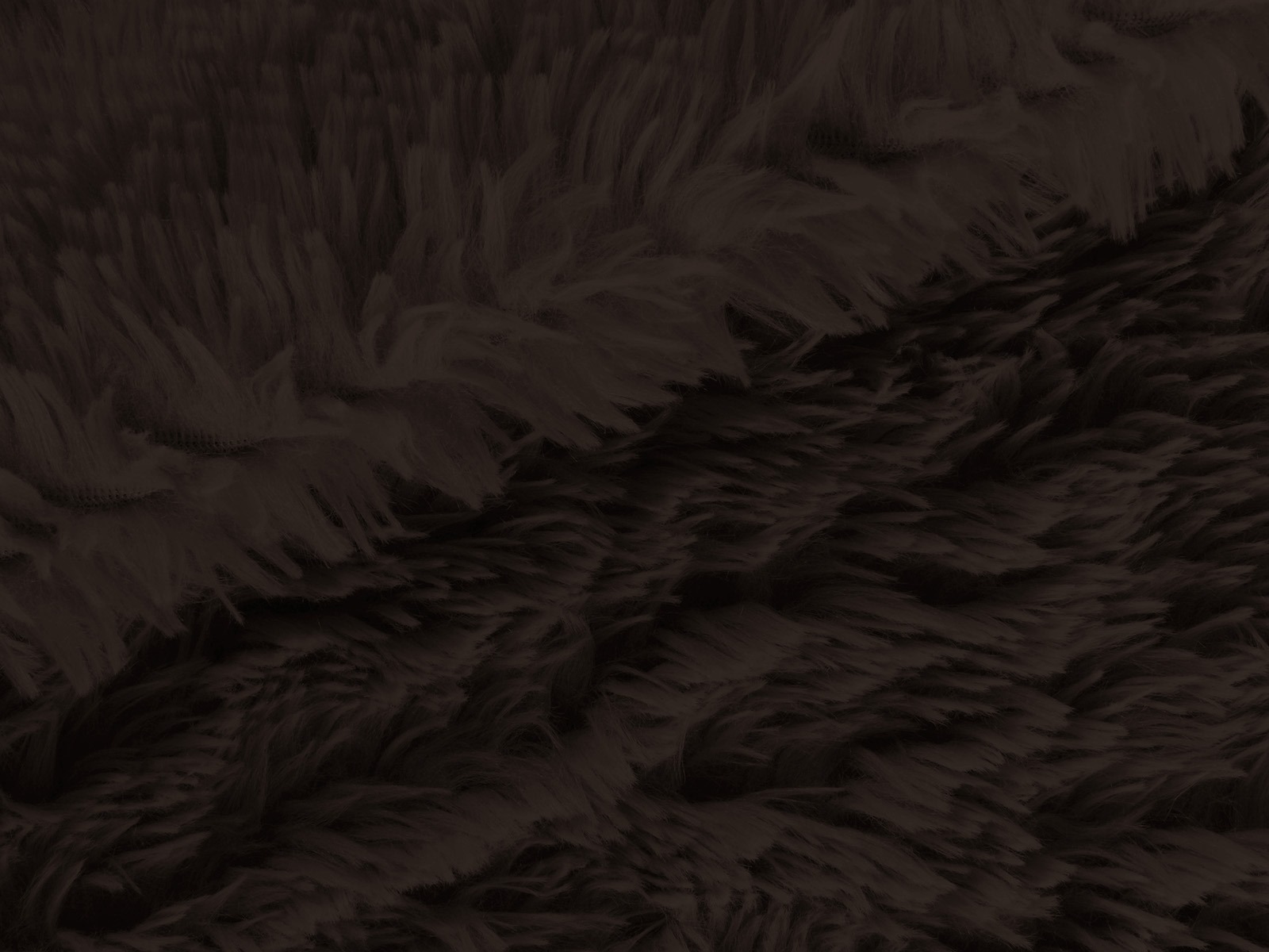 M11PL009800006