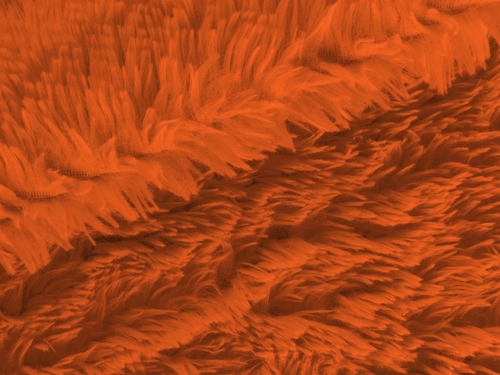 M11PL009800007
