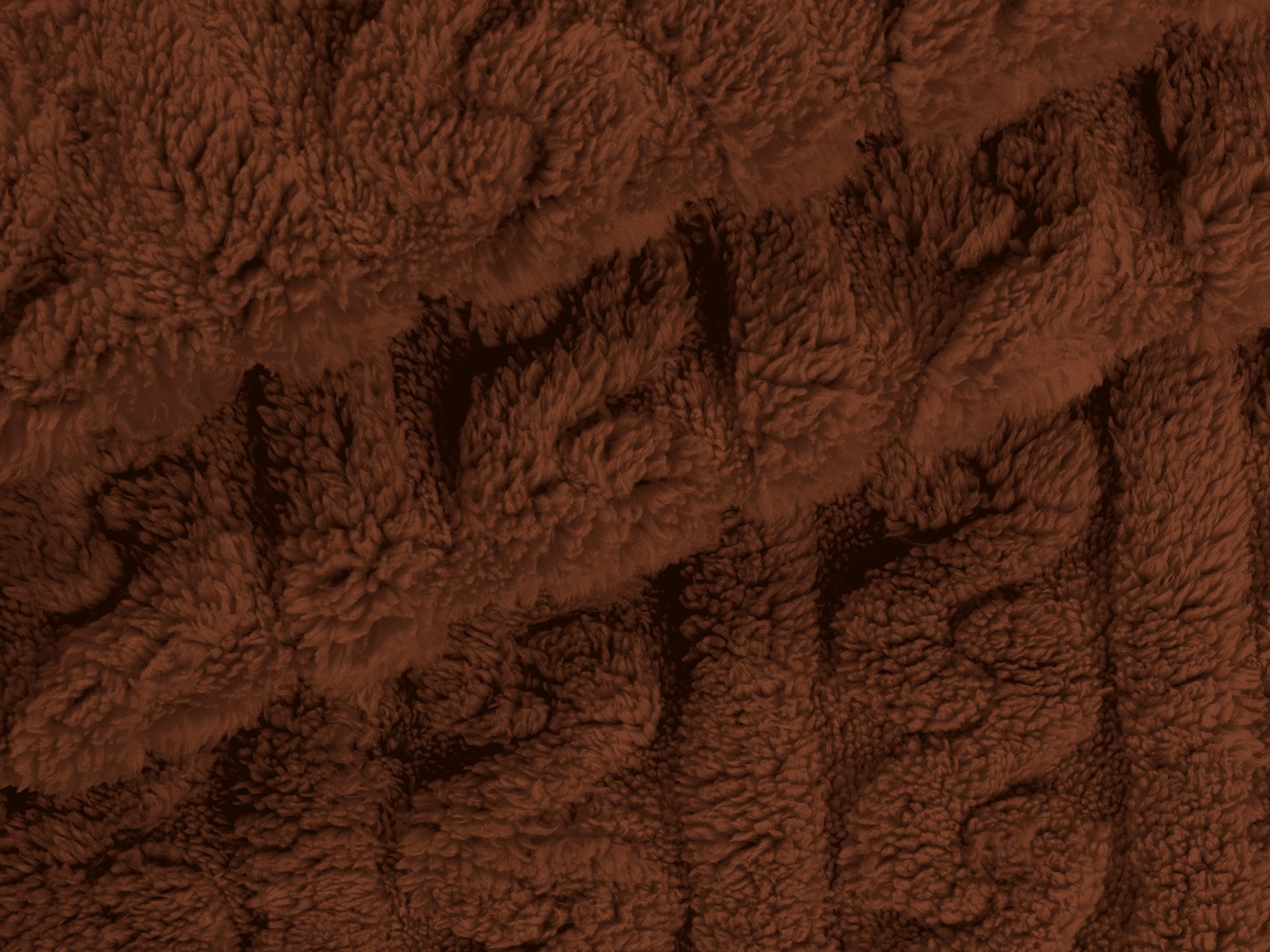 M11PL010000001