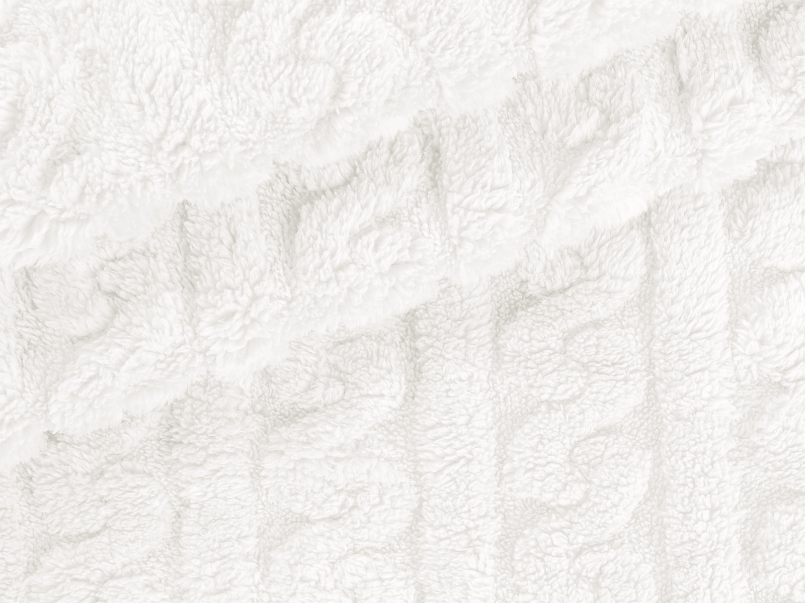 M11PL010000004