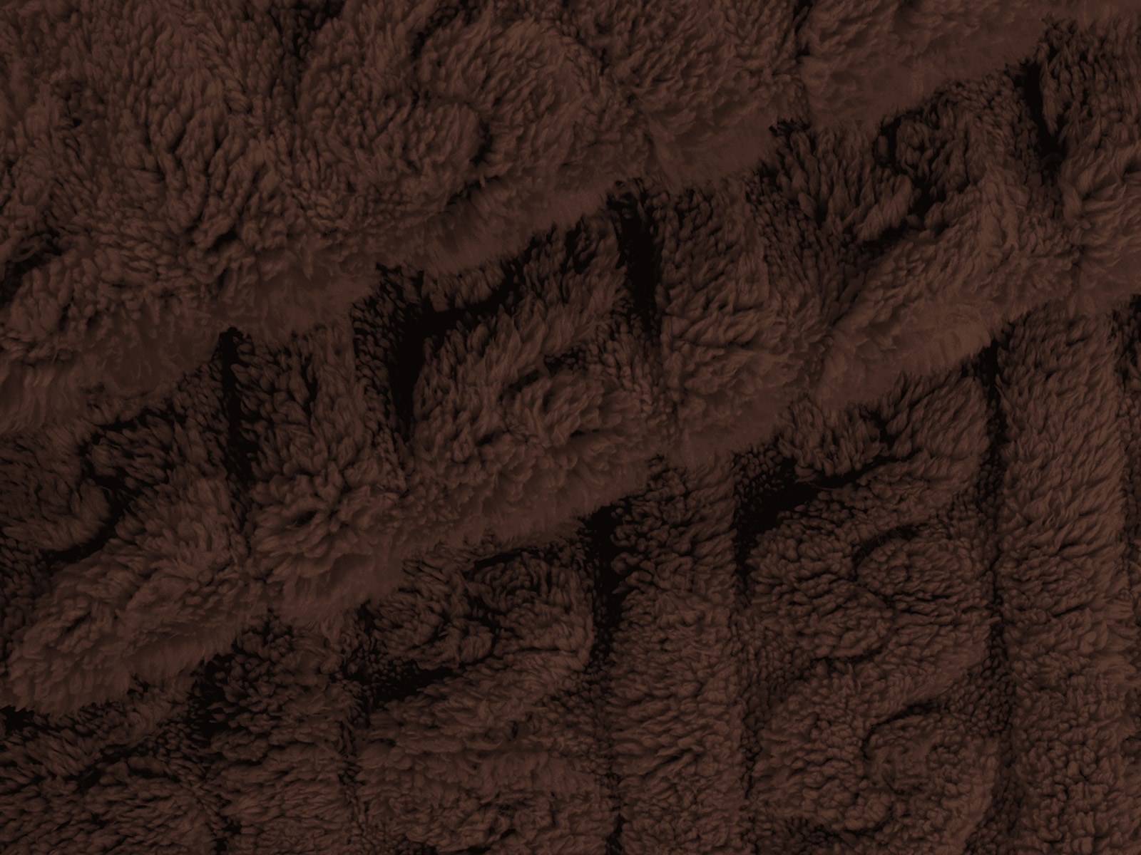 M11PL010000006