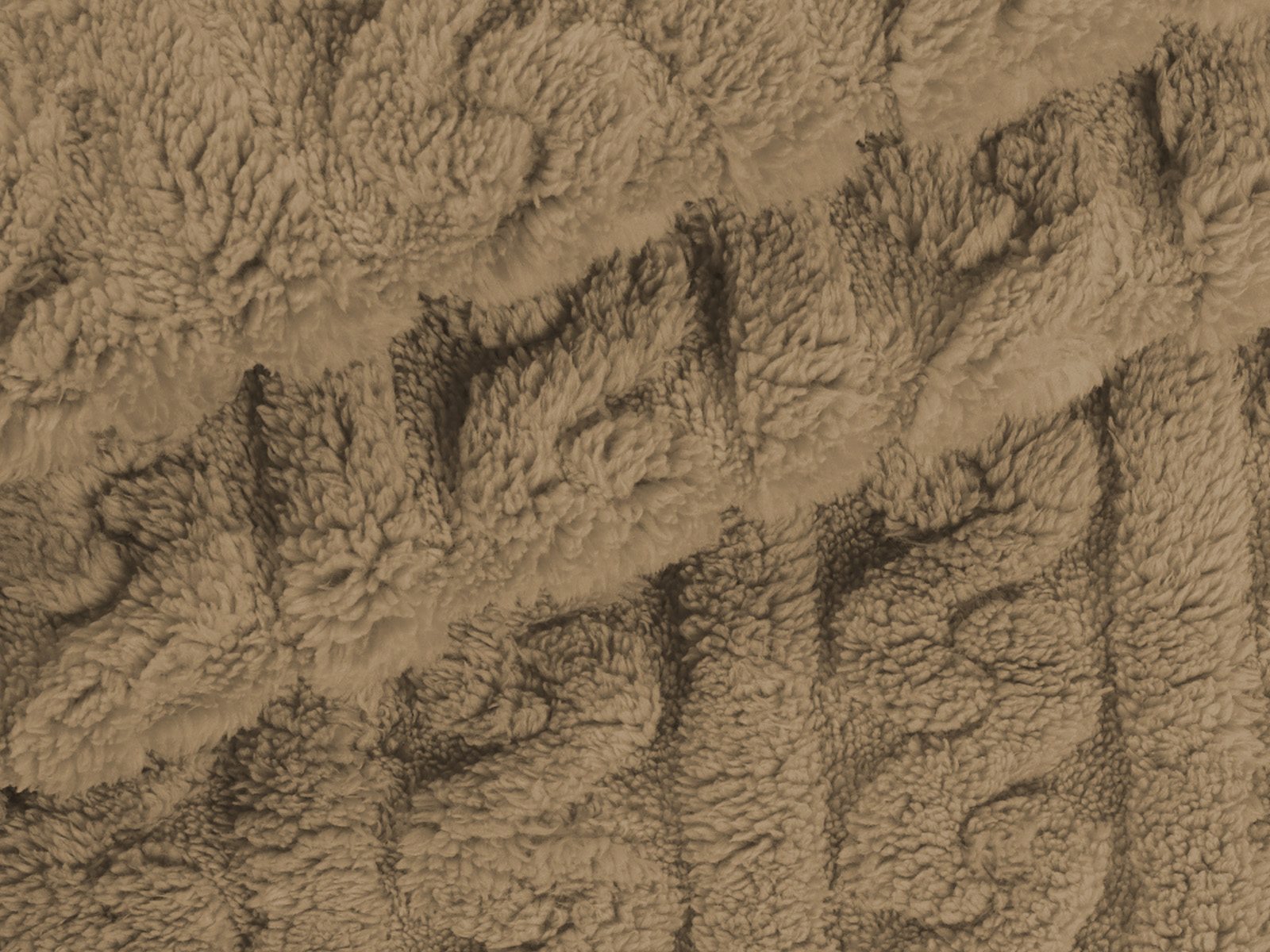 M11PL010000007