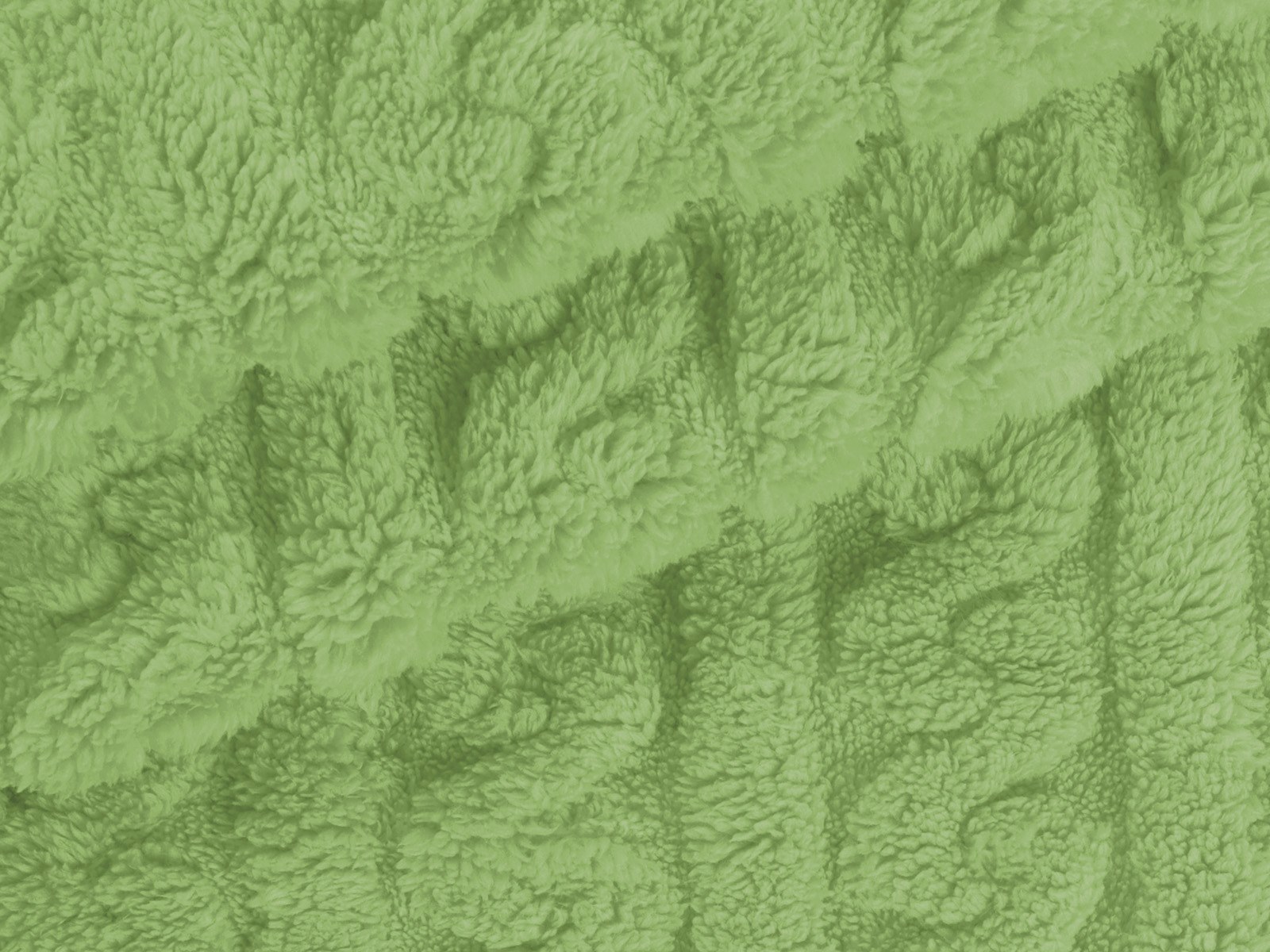 M11PL010000008