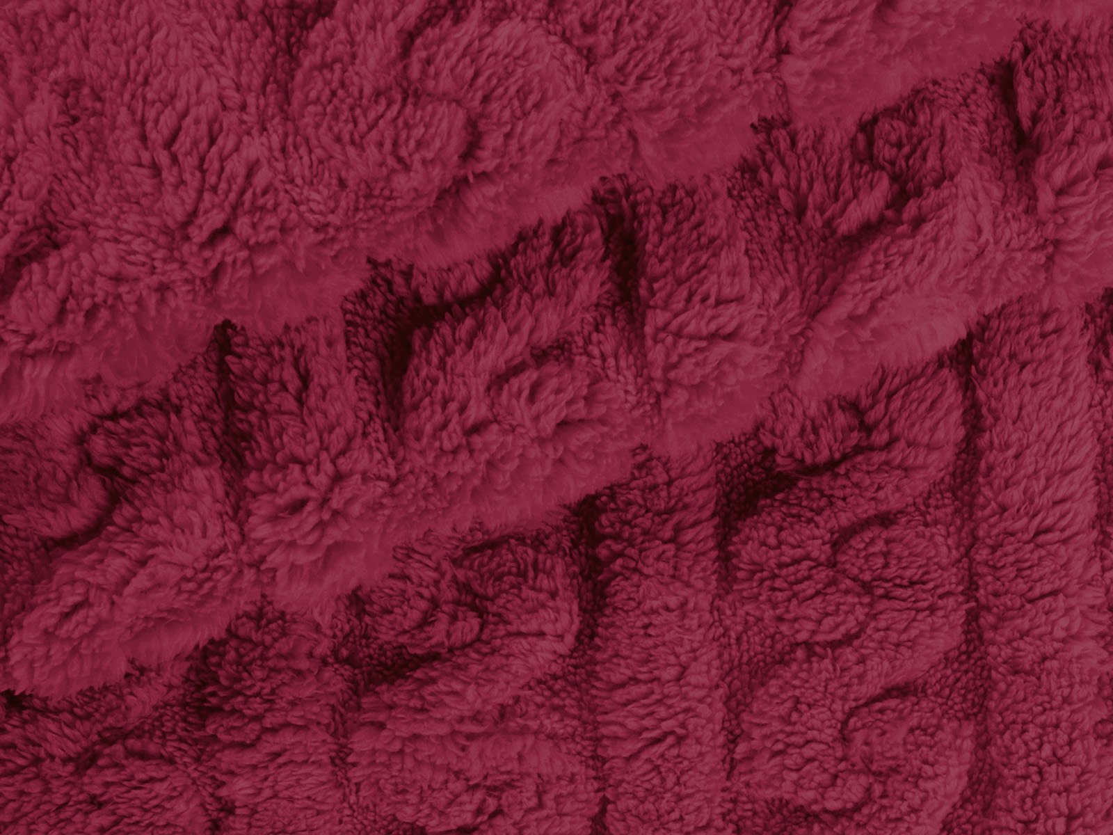 M11PL010000010