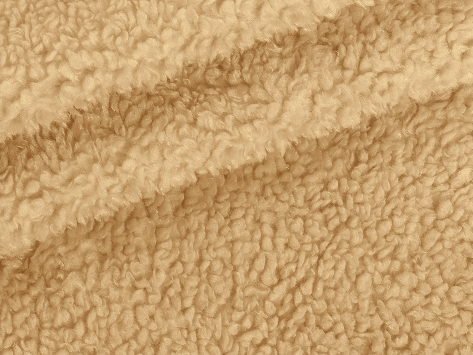 M11PL010600001