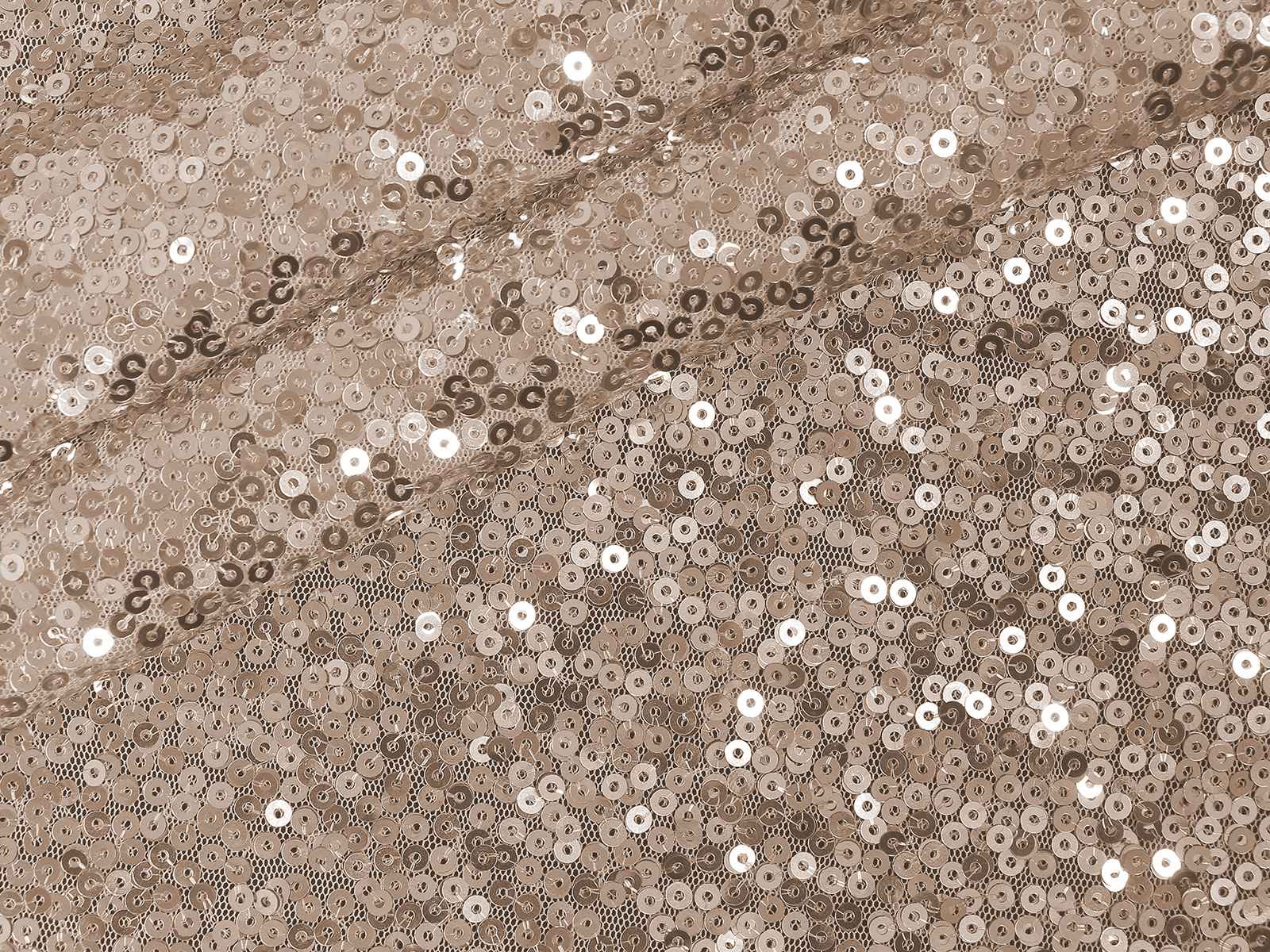 M11PS019500003