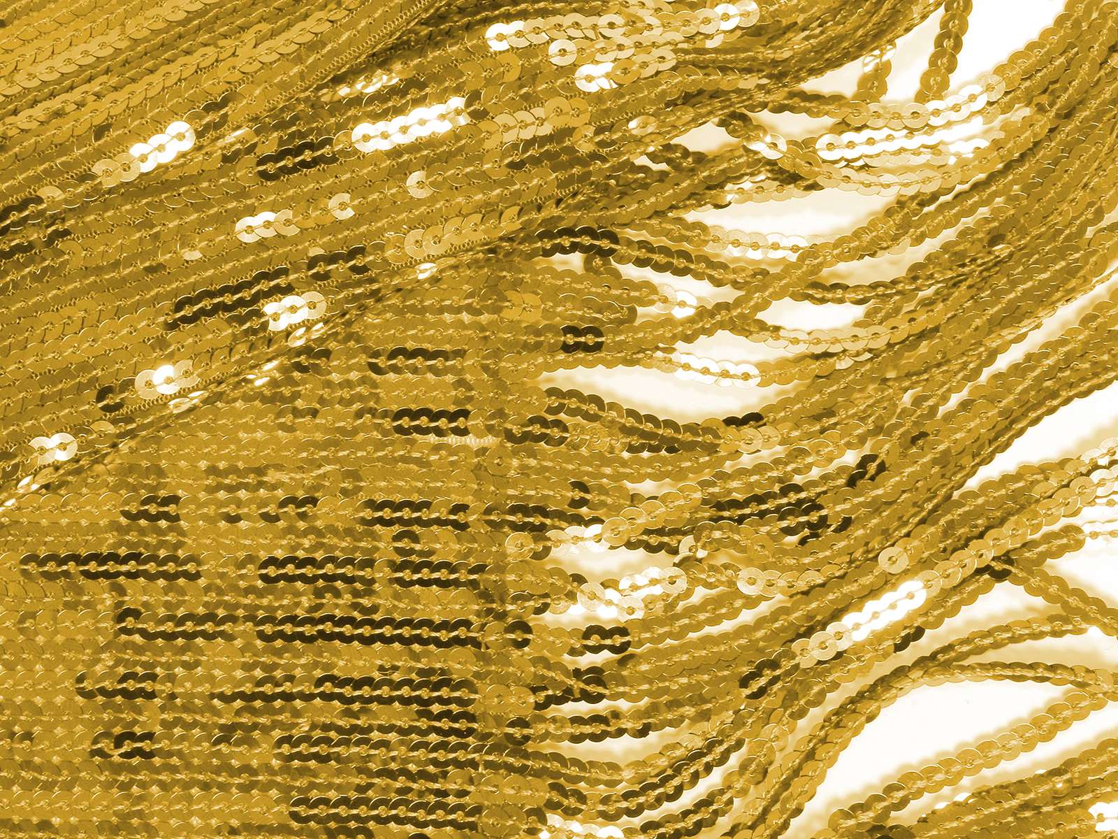M11PS019800001