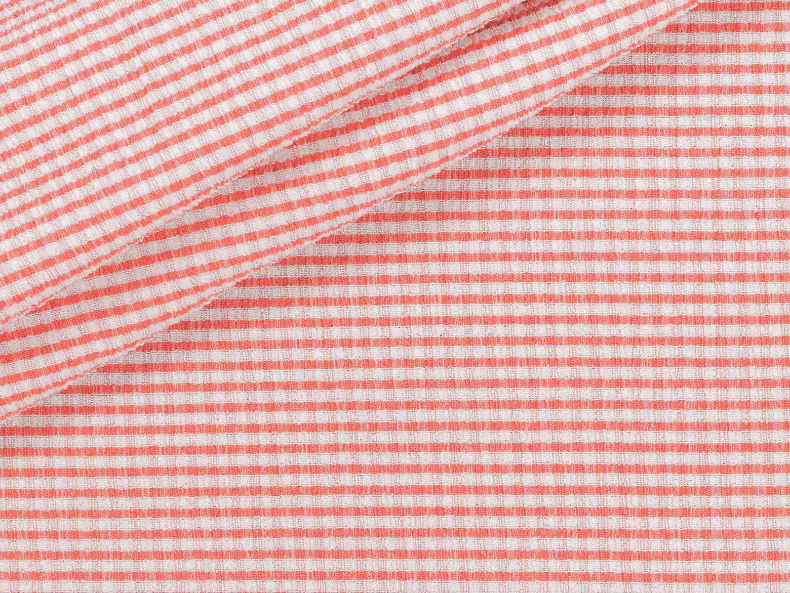 M21ML001200003
