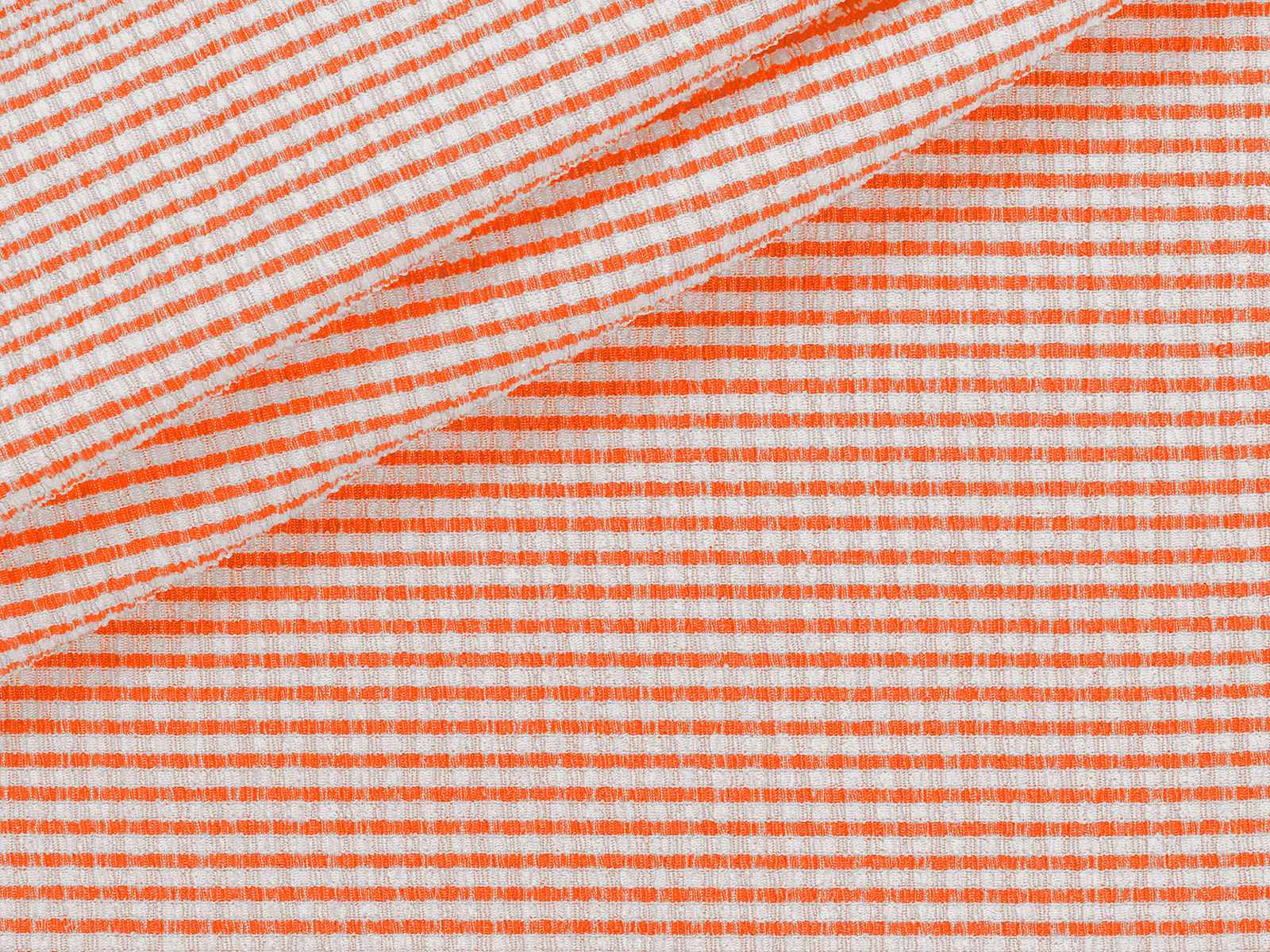 M21ML001200004
