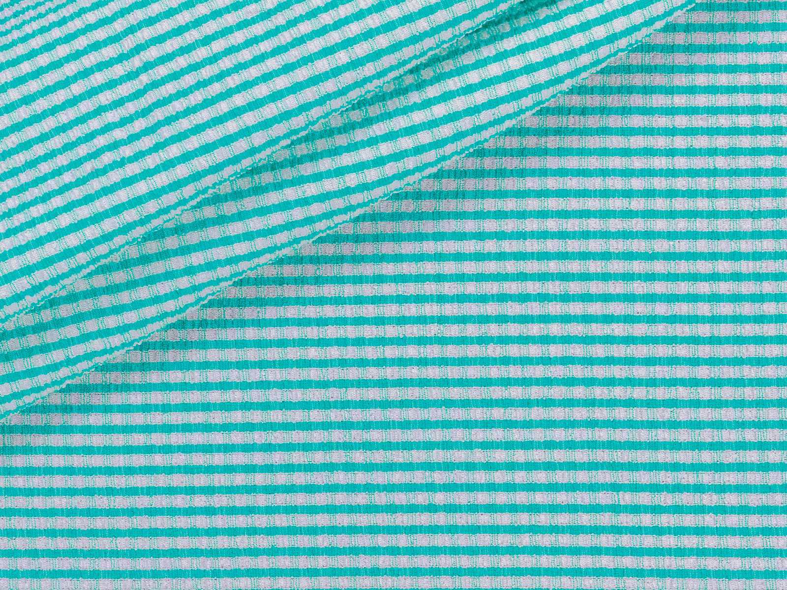 M21ML001200006