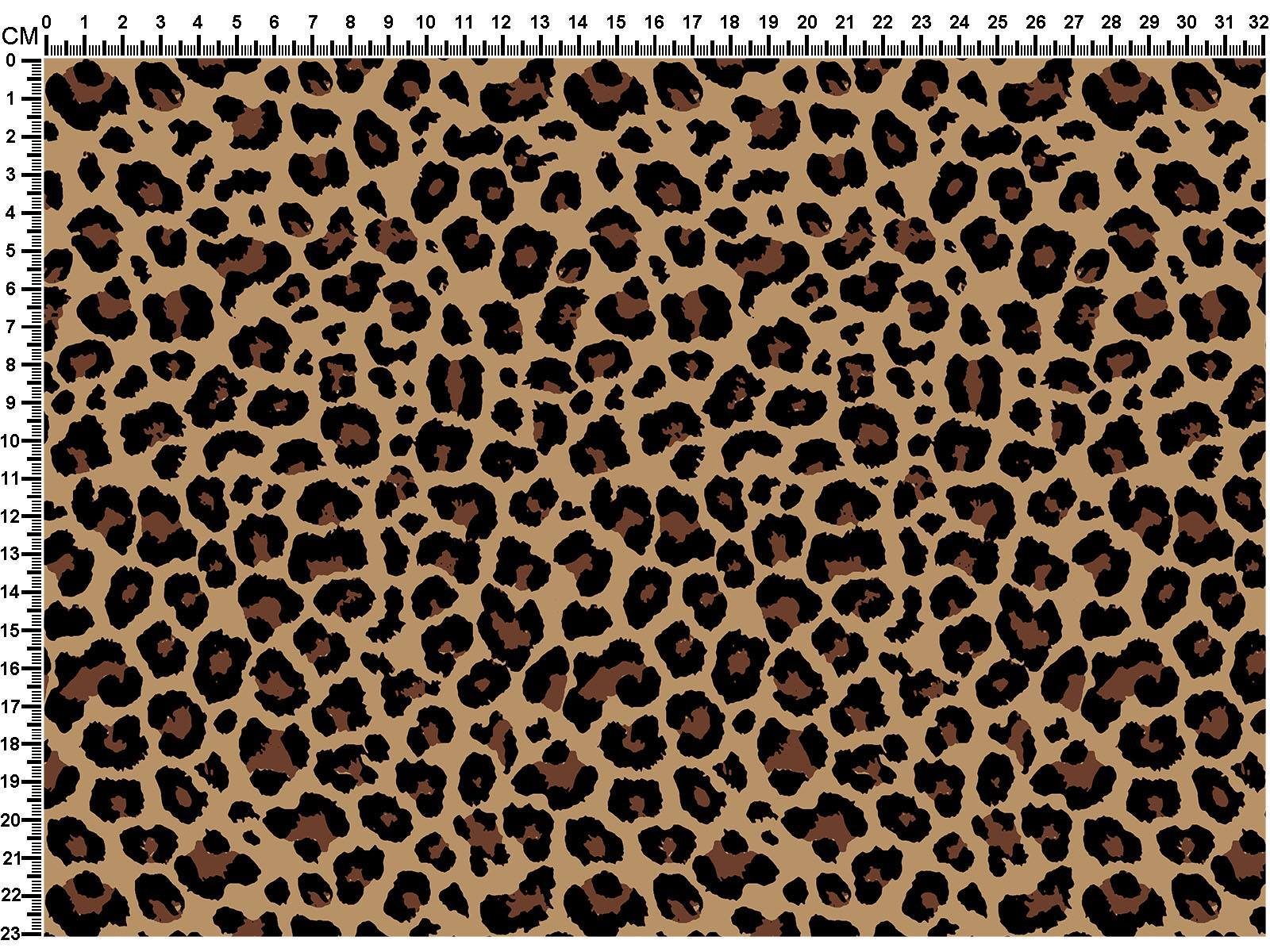 M31ML007100001