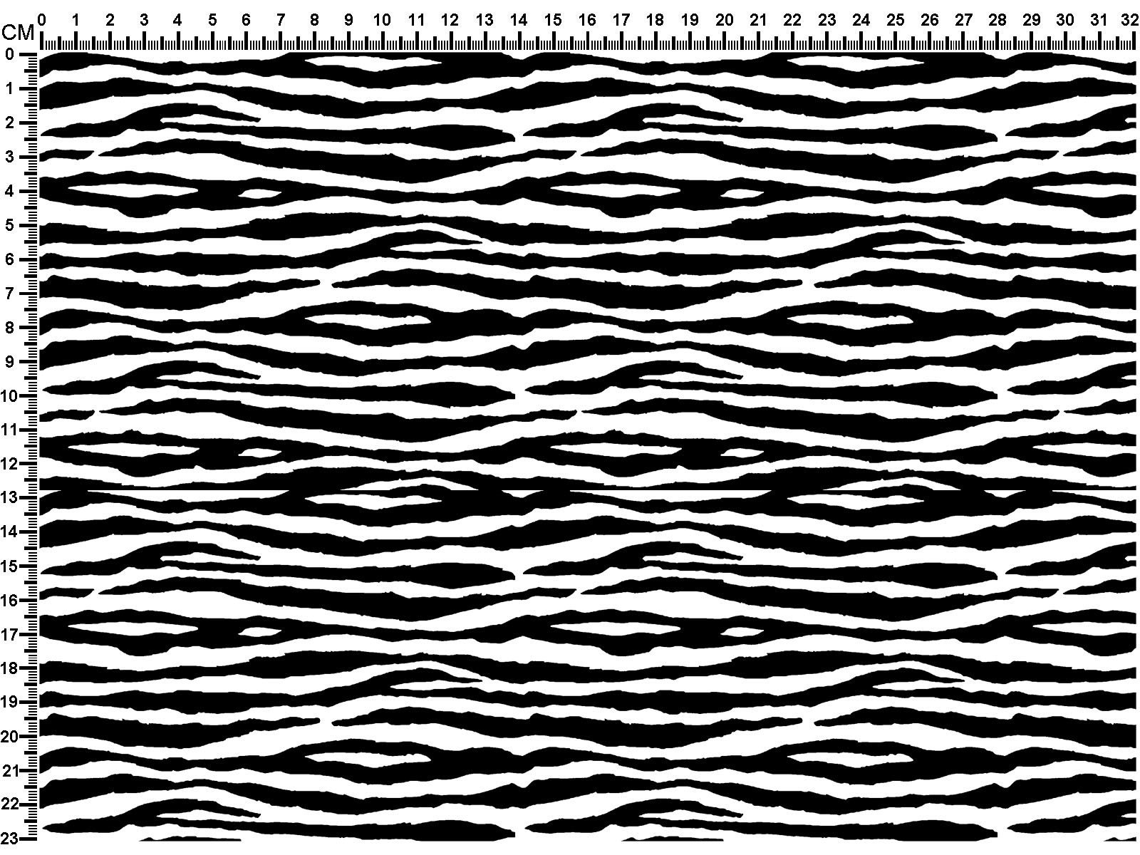 M31ML007100004