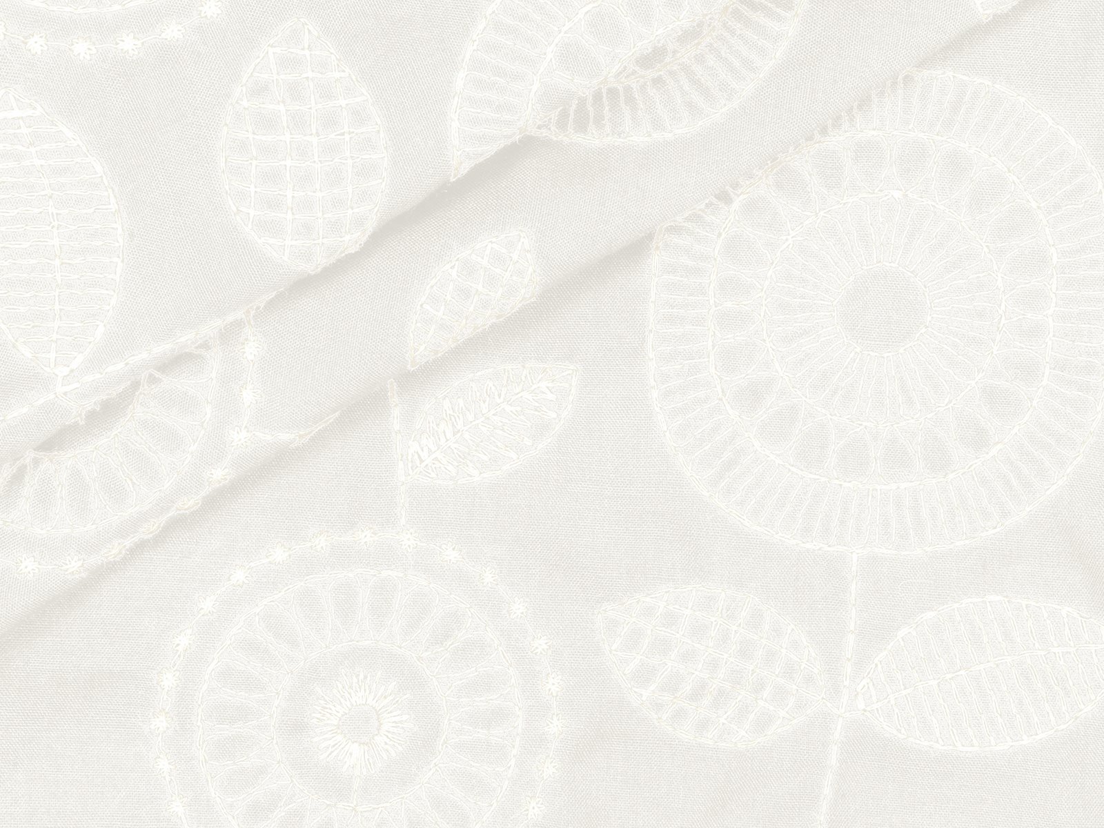 P11NL063500002