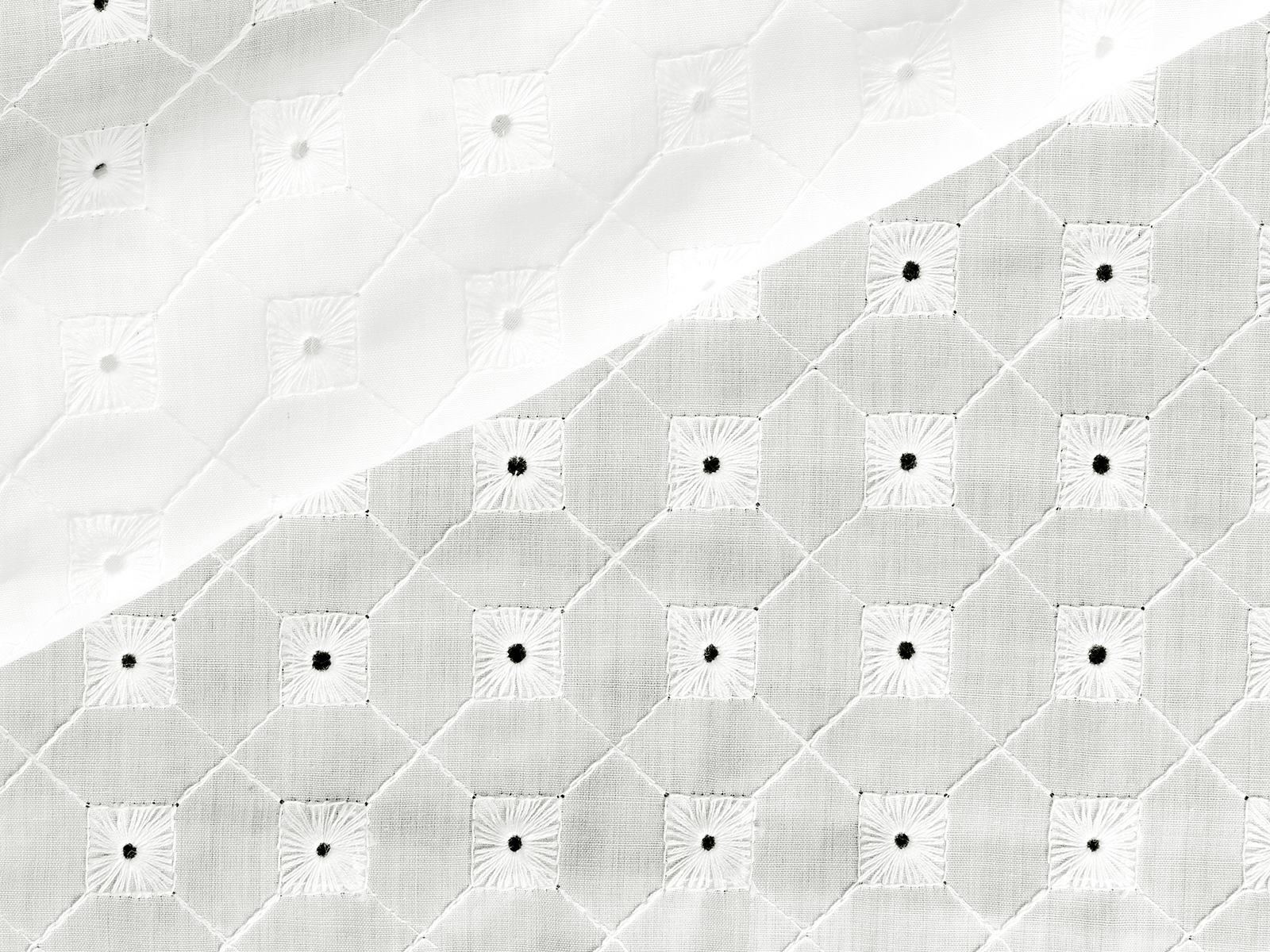 P11NL066300002