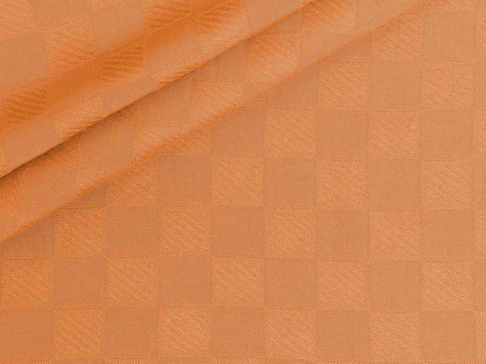 P11NM019200011