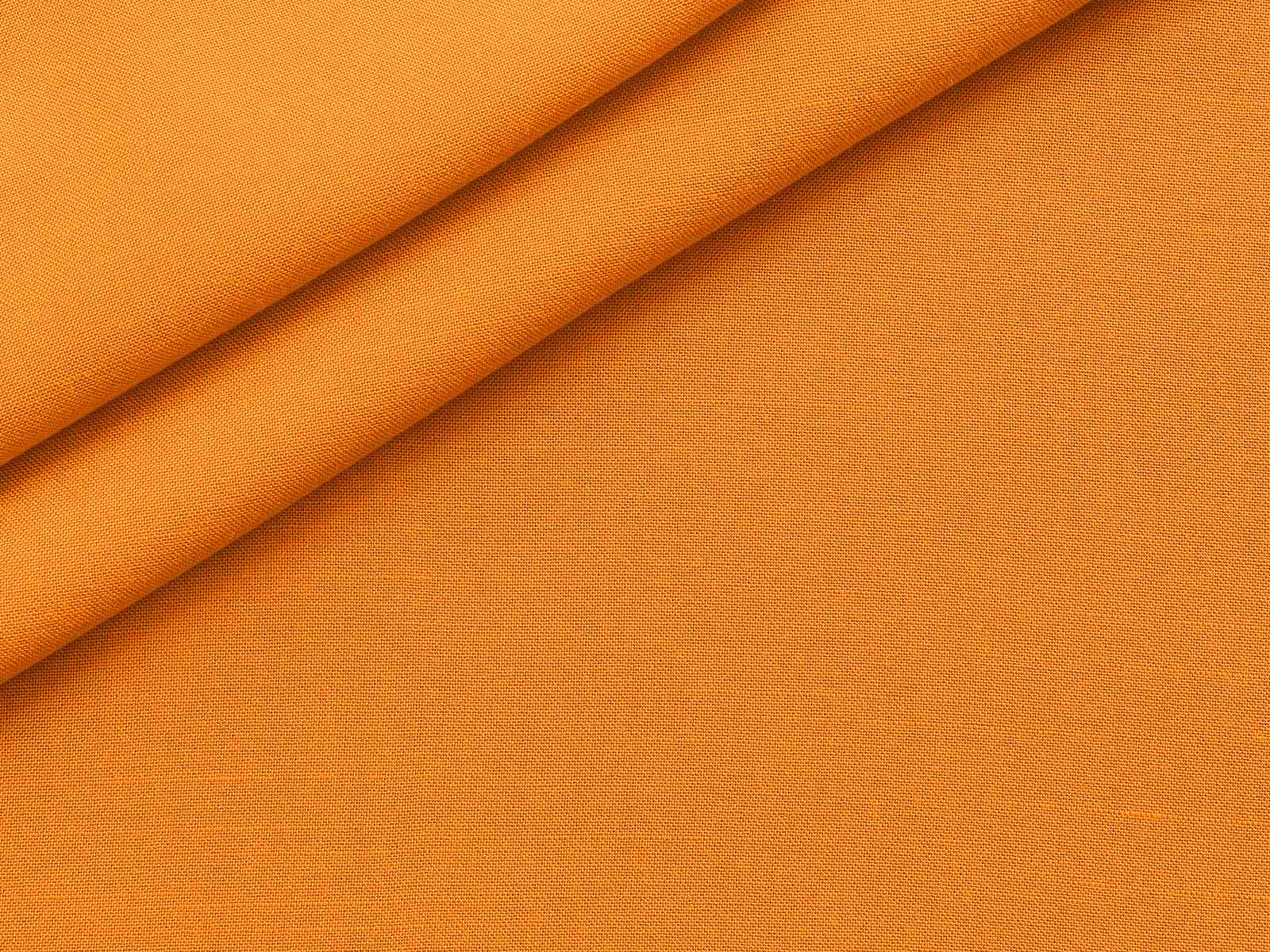 P11NM022400006