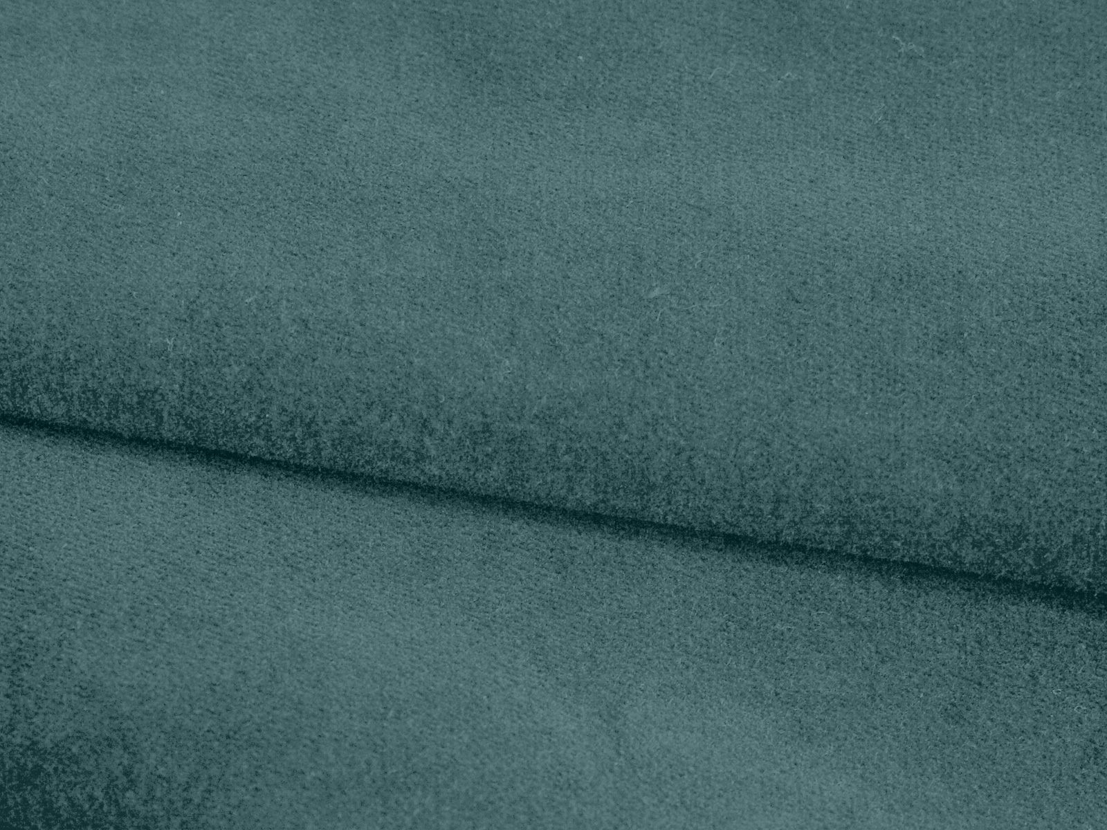 P11NP008700019