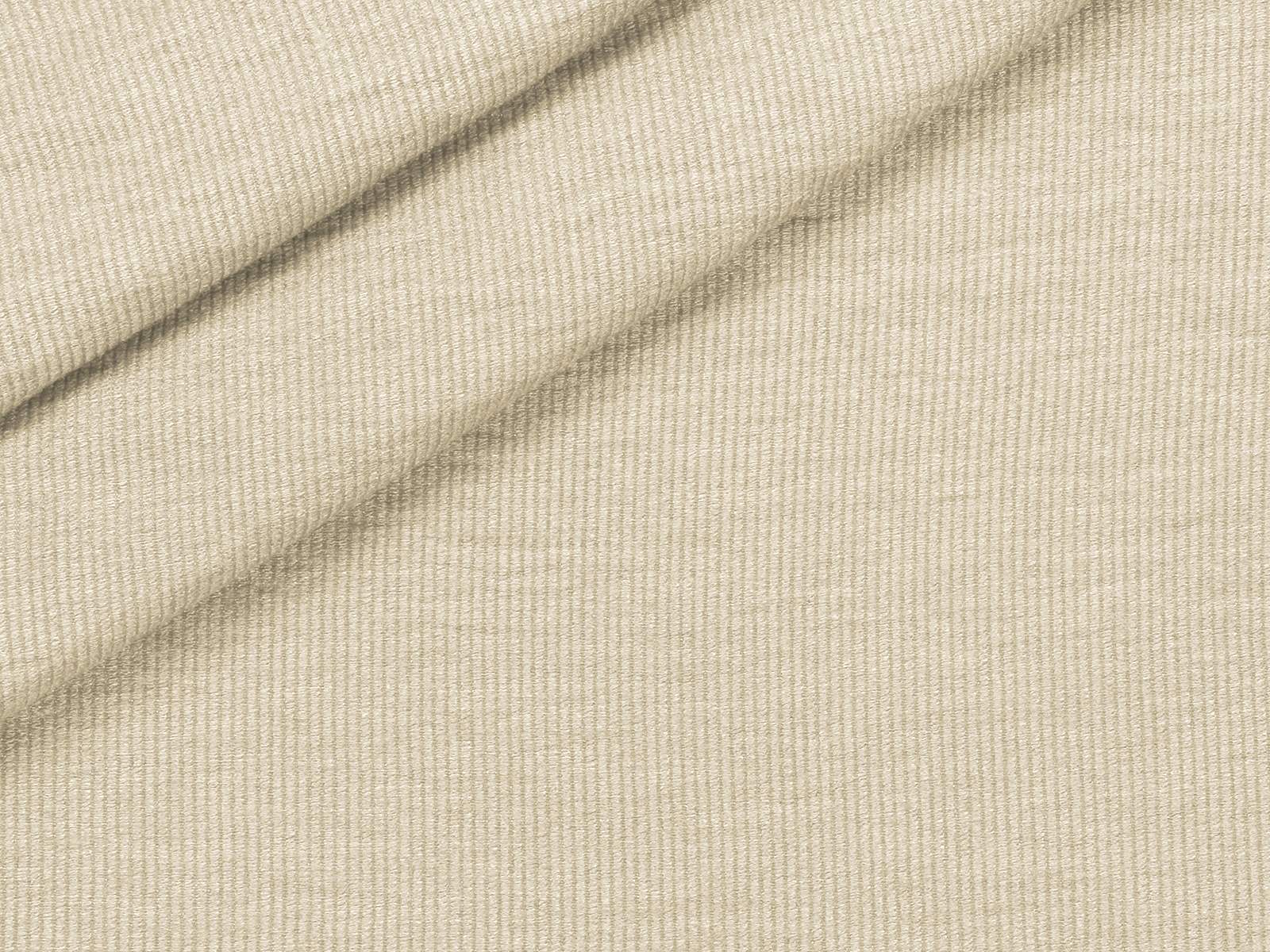 P11NP048800019