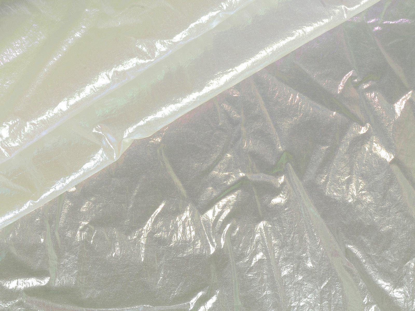 P11TC019500001