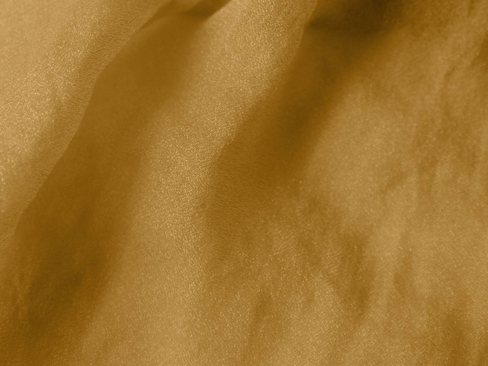 P11TP004000003