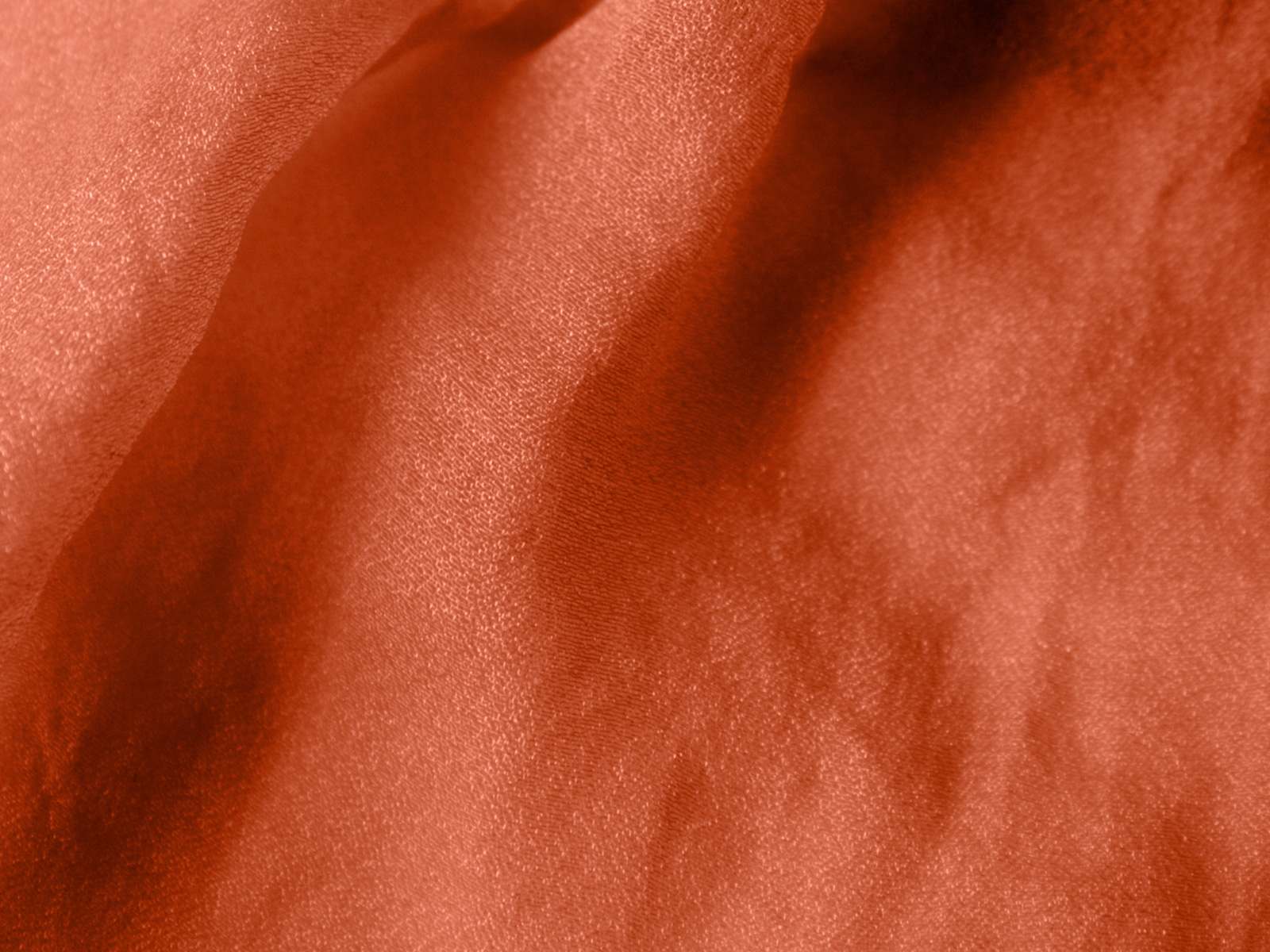 P11TP004000007