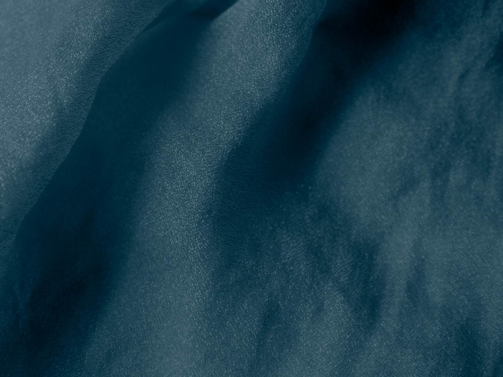 P11TP004000025
