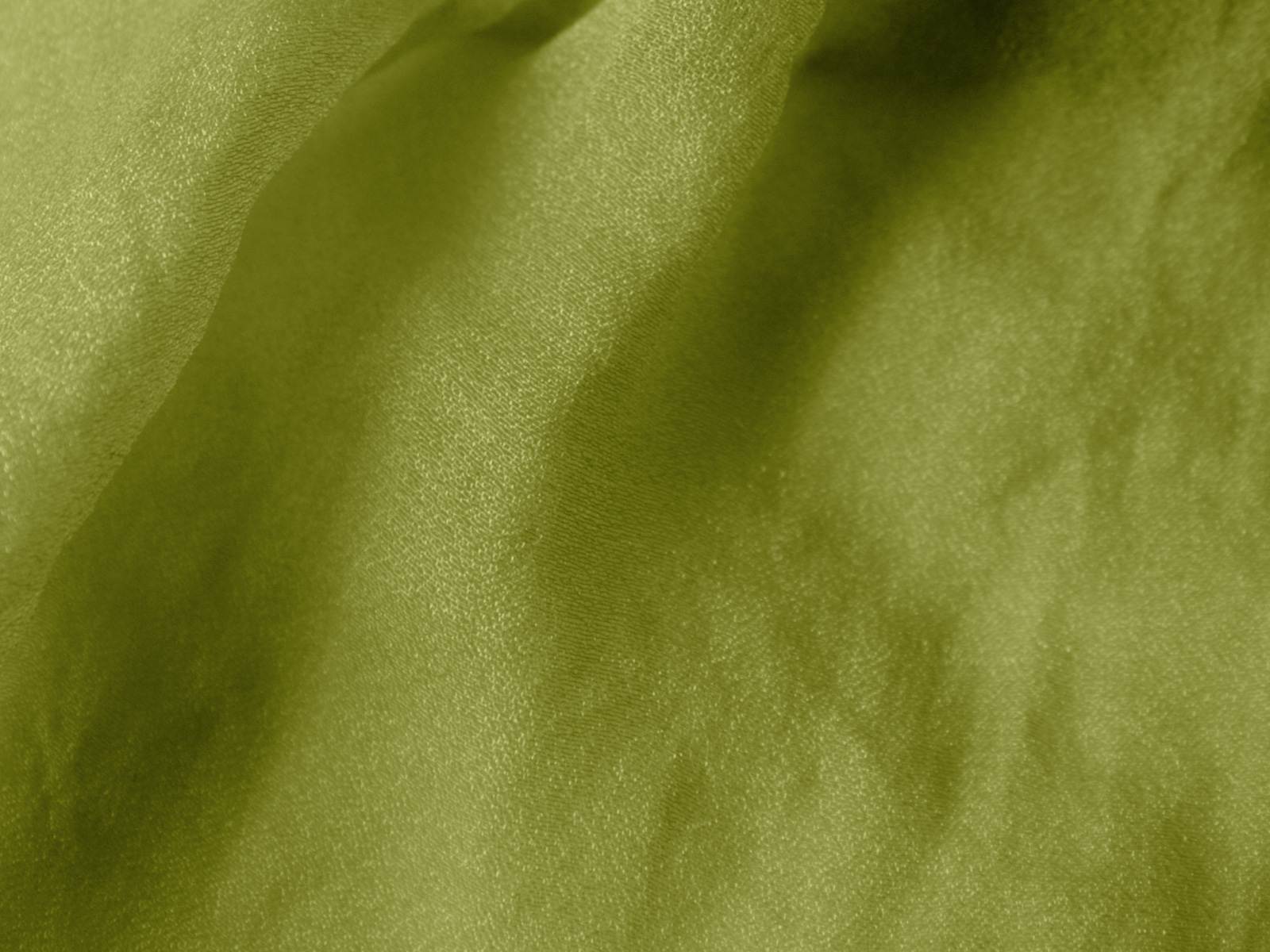 P11TP004000029