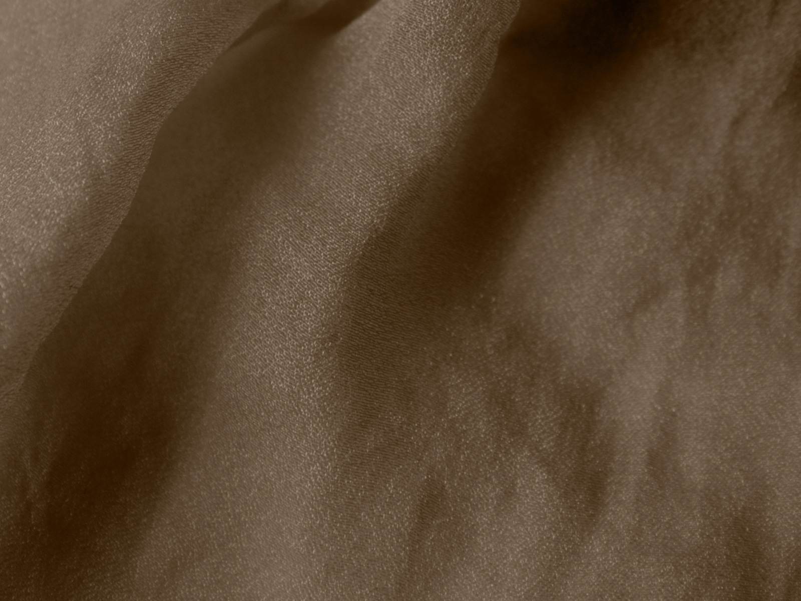 P11TP004000036