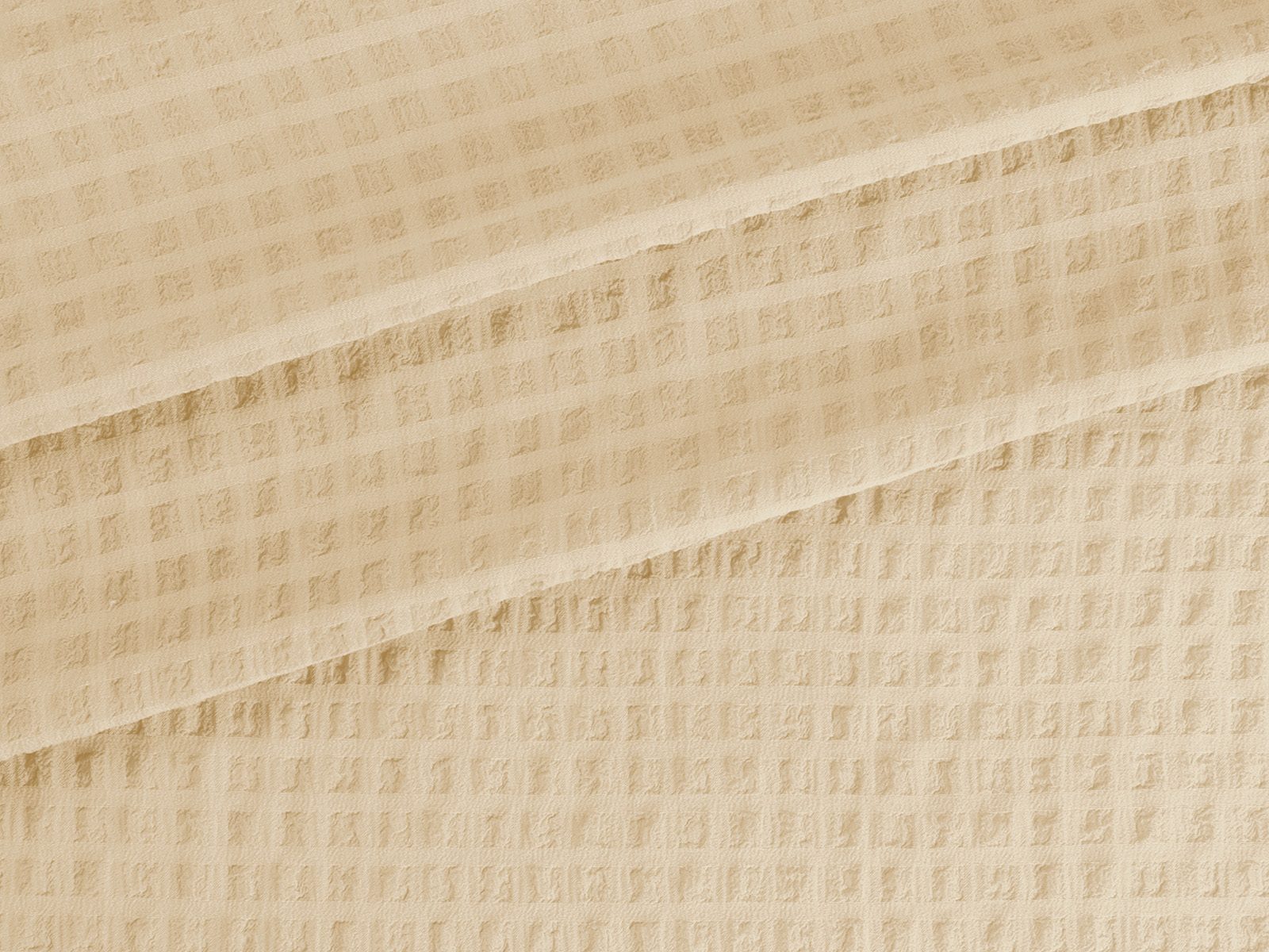 P11TP041700014