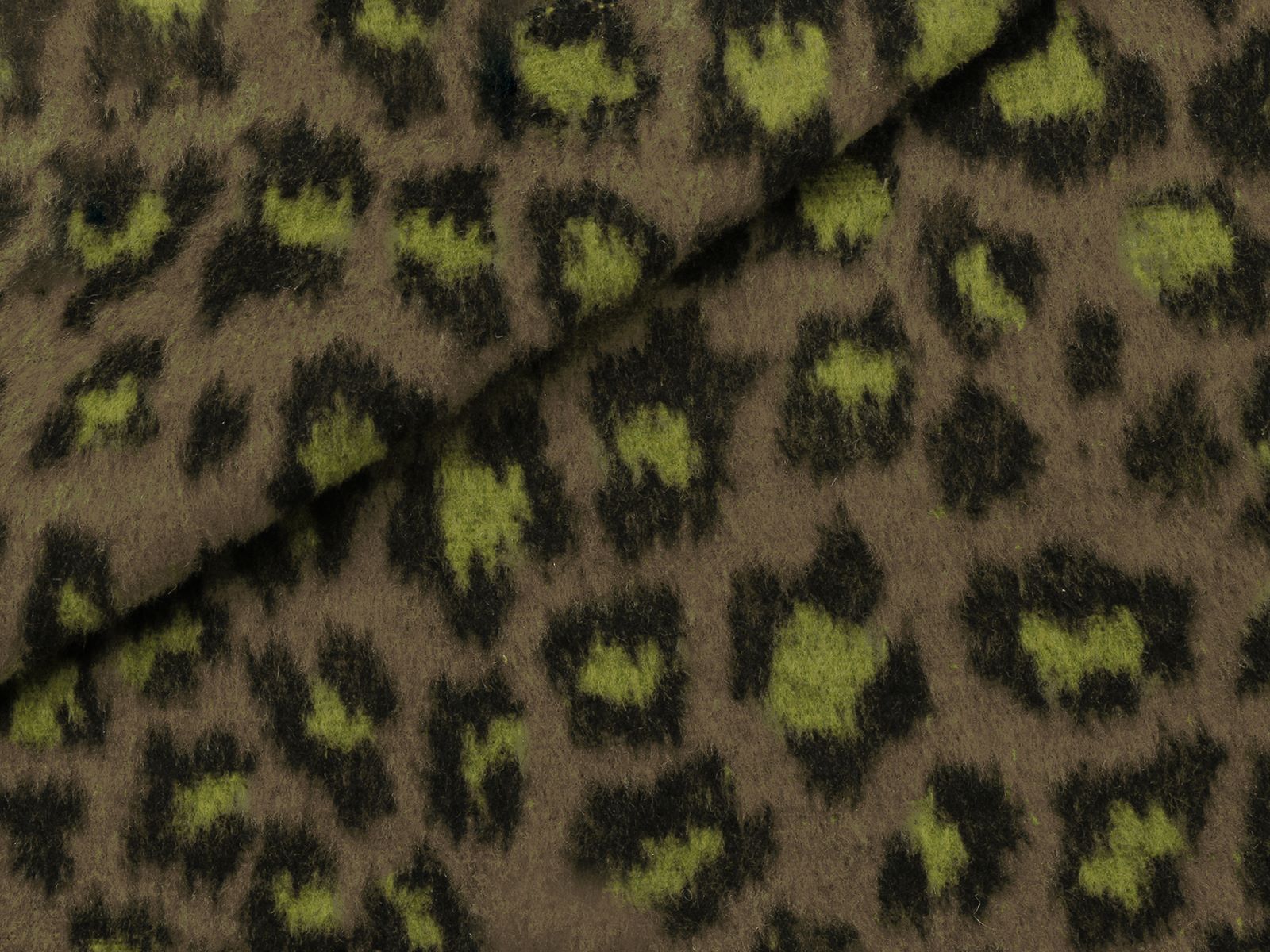 P21AF030200001