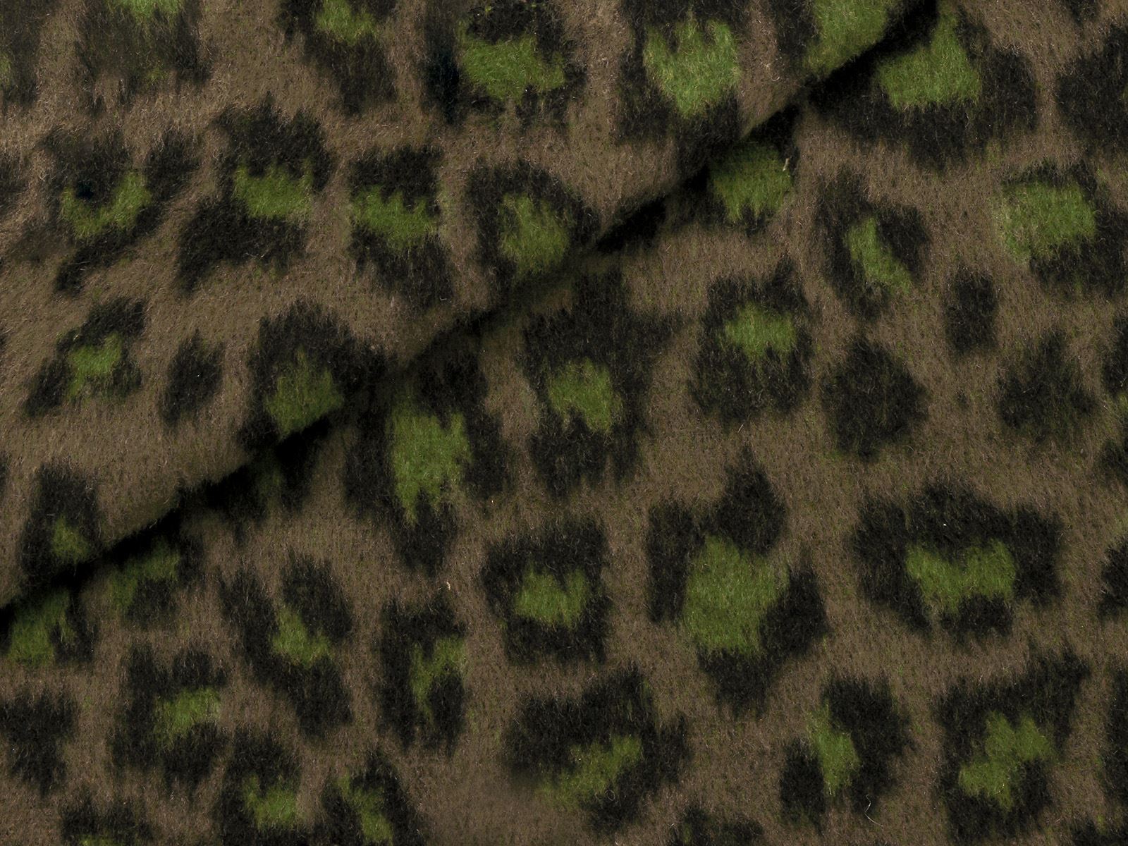 P21AF030200004