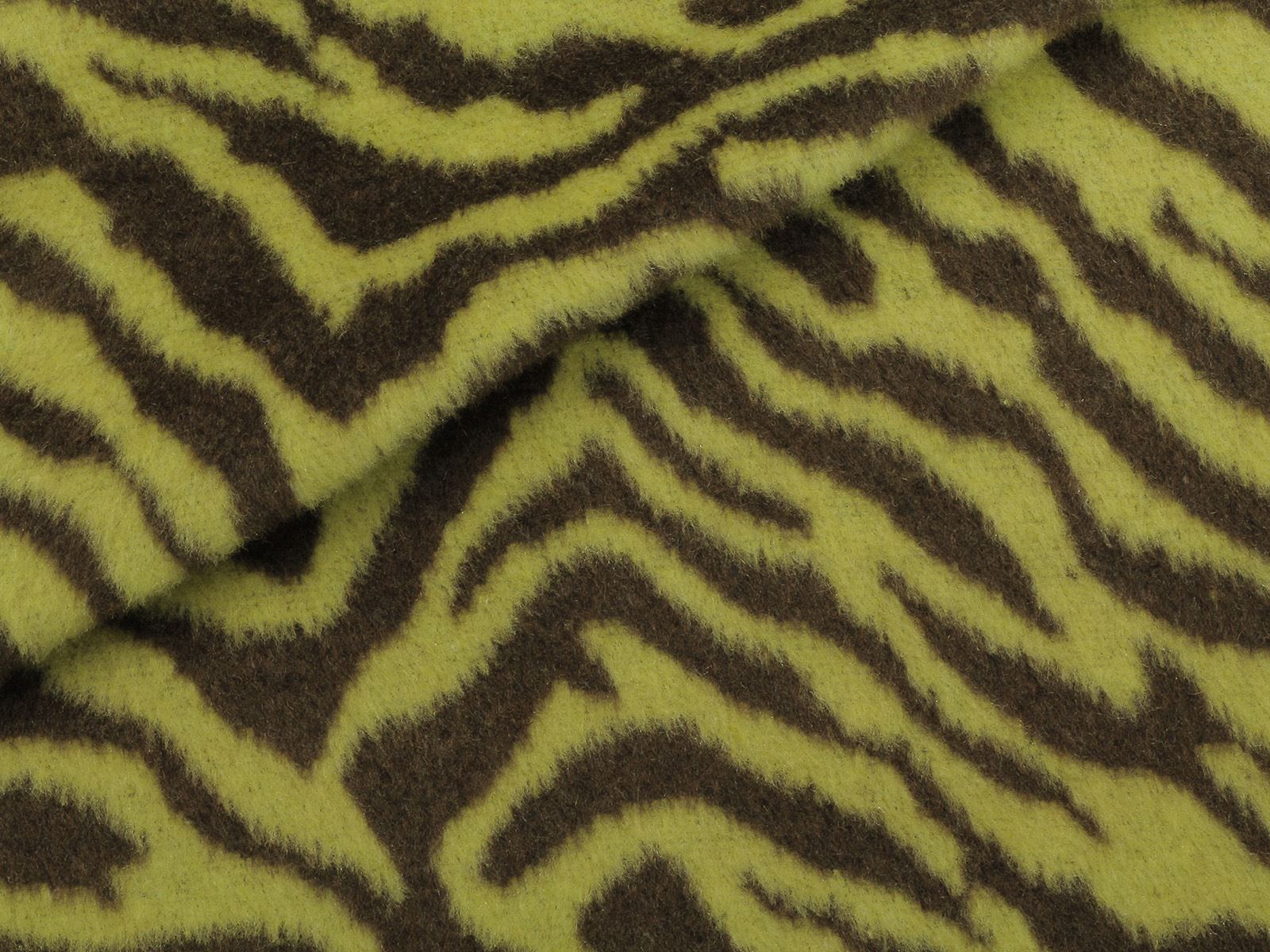 P21AF030300001