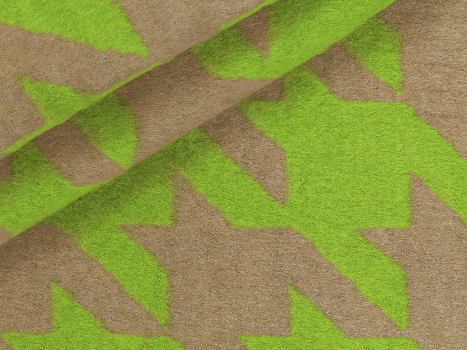 P21AF030400001