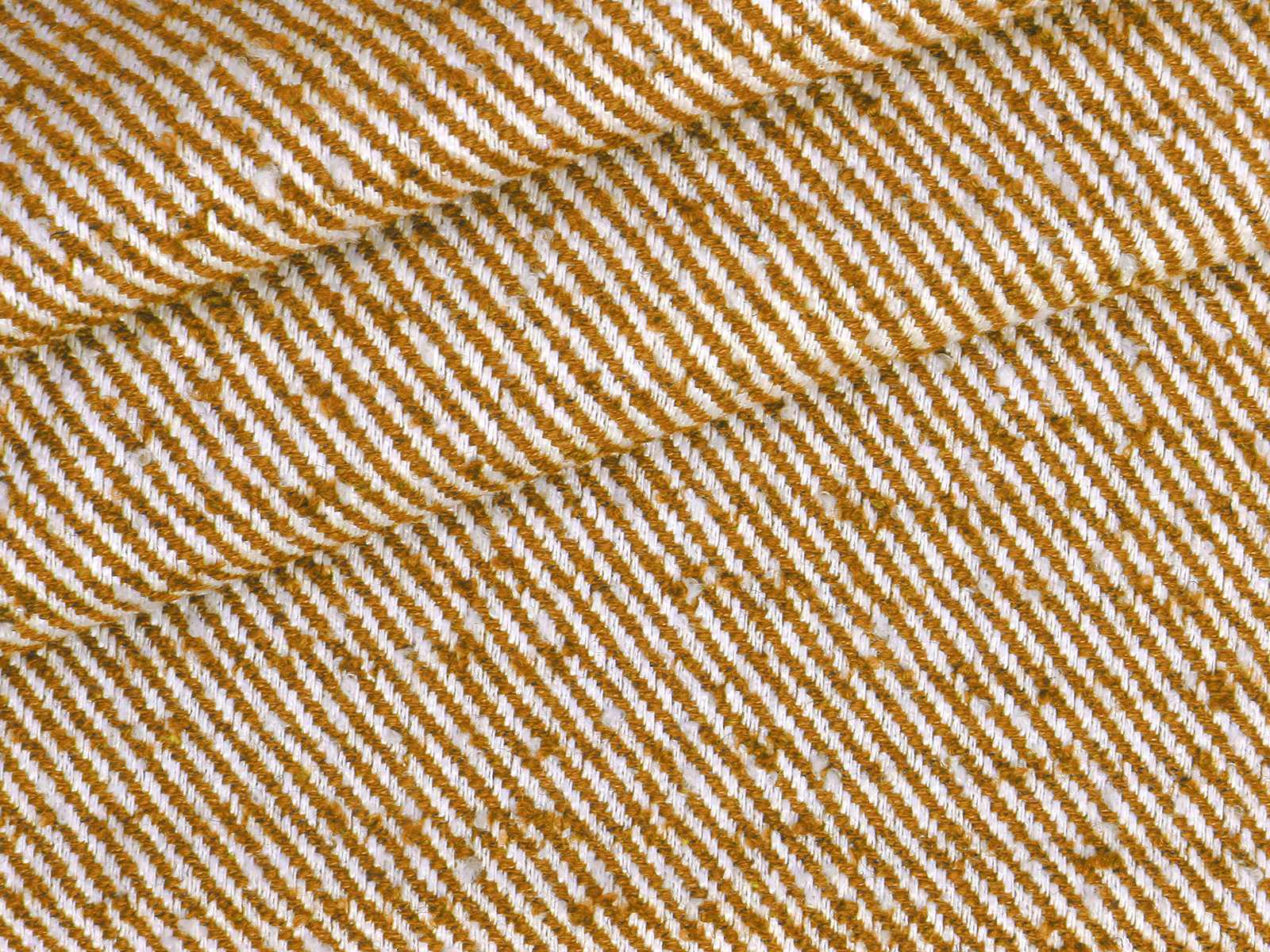 P21AF031500003