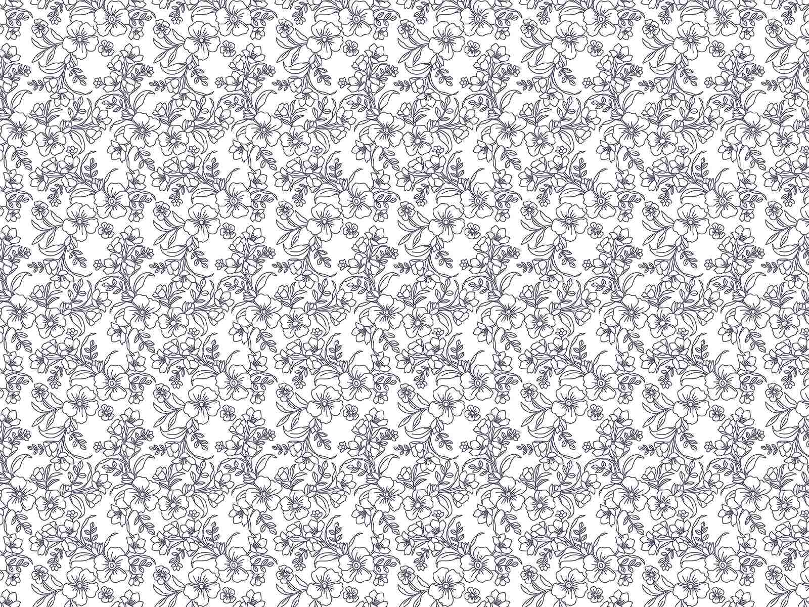 P31NM017300162