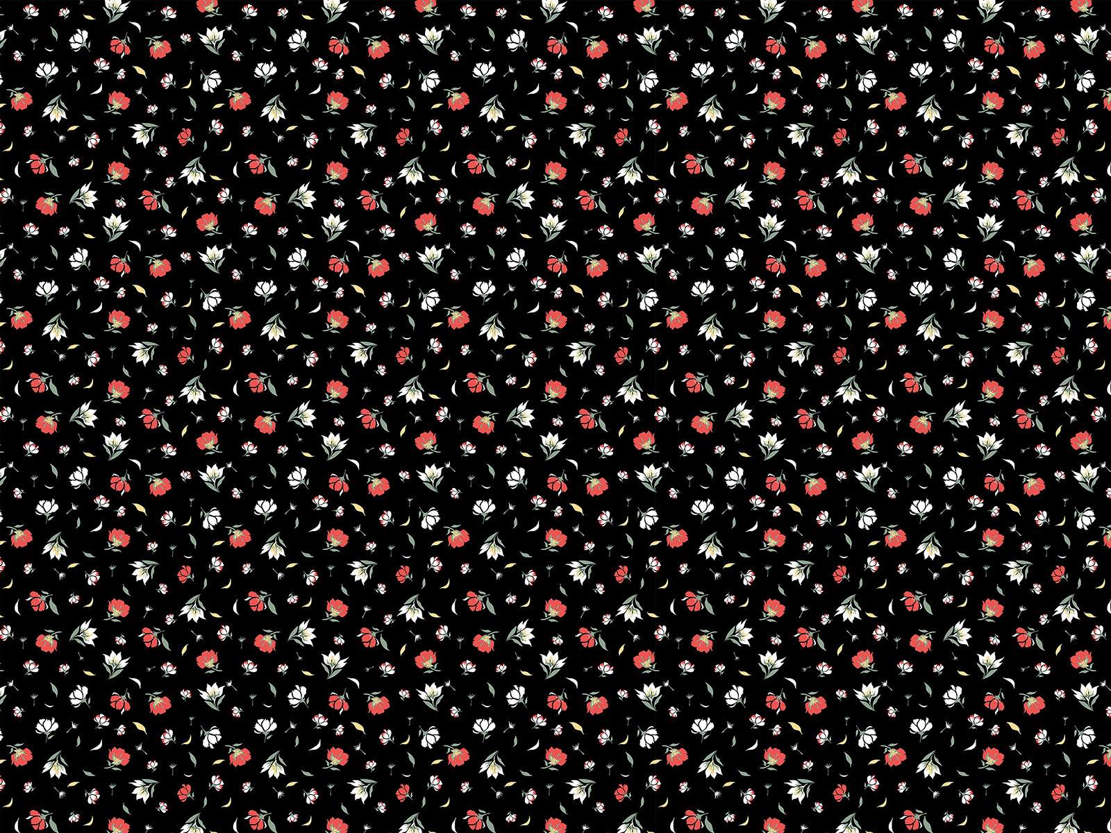 P31NM017300164