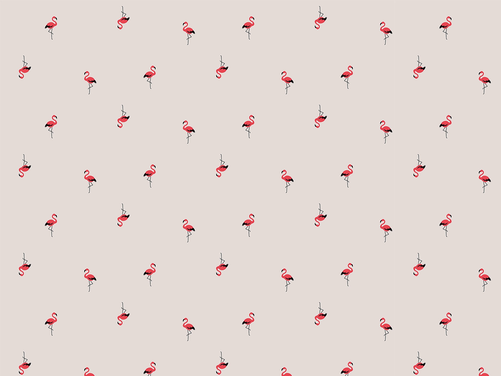 P31NM017300185
