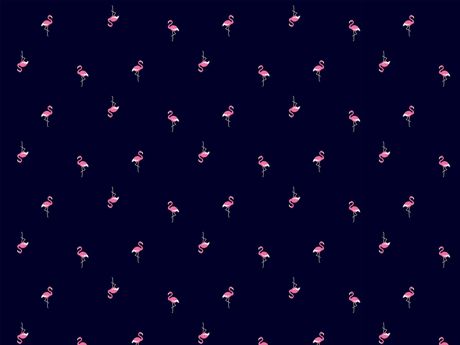 P31NM017300186