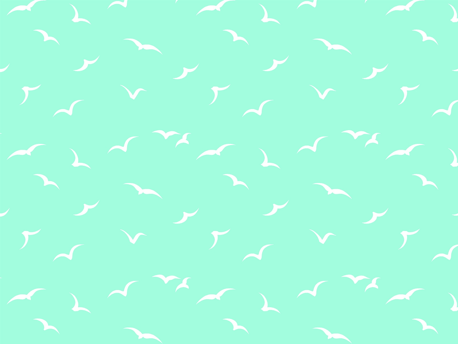 P31NM017300215